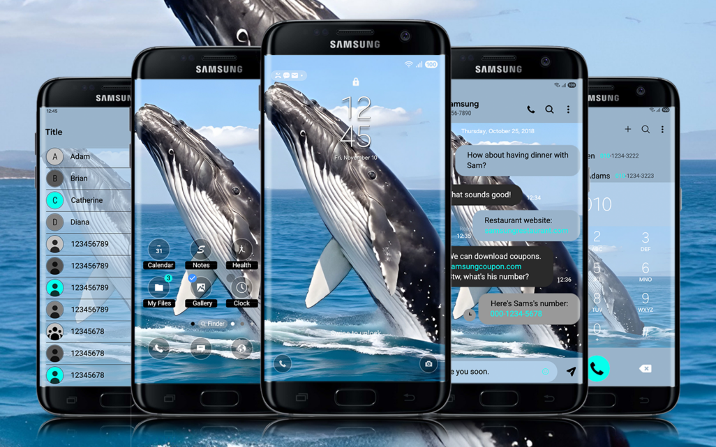 Humpback Whale