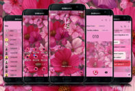 Pink Flowers