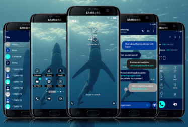 Shark Swimming